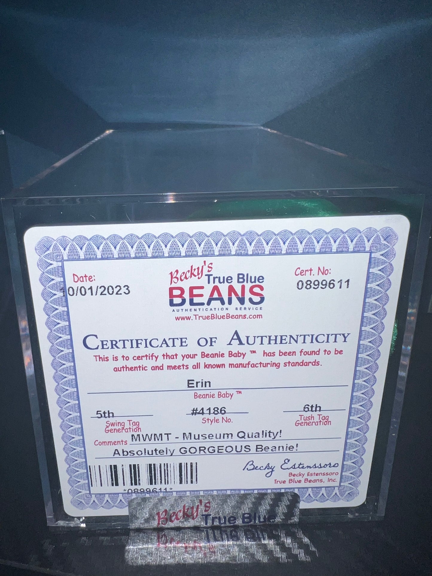 Erin The Bear Ty Beanie Baby Becky's True Blue Beans Authenticated 5th Swing 6th Tush