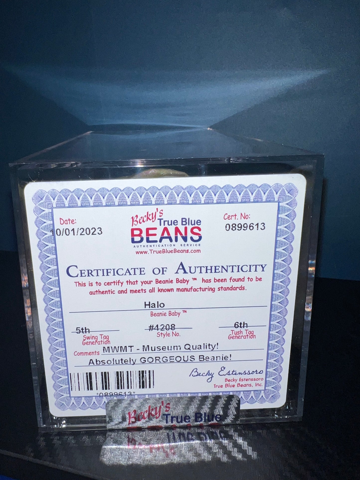Halo the Bear Ty Beanie Baby Becky's True Blue Beans Authenticated 5th Swing 6th Tush