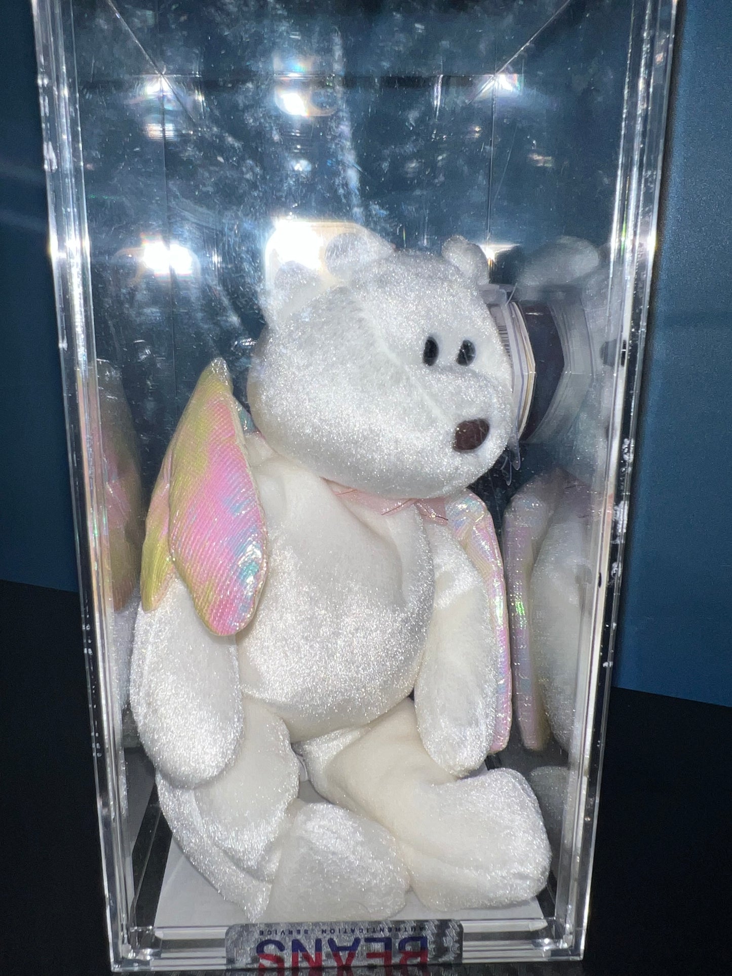 Halo the Bear Ty Beanie Baby Becky's True Blue Beans Authenticated 5th Swing 6th Tush