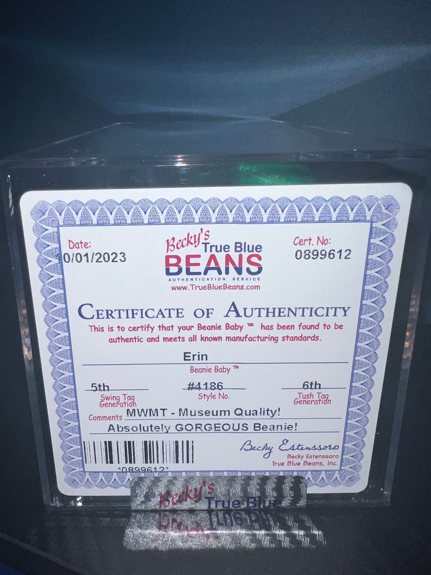 Erin The Bear Ty Beanie Baby Becky's True Blue Beans Authenticated 5th Swing 6th Tush
