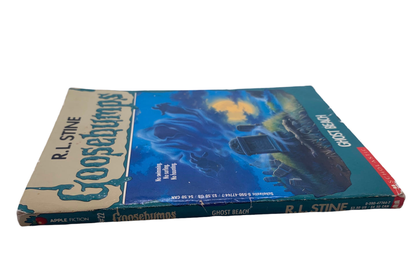 Goosebumps Ghost Beach