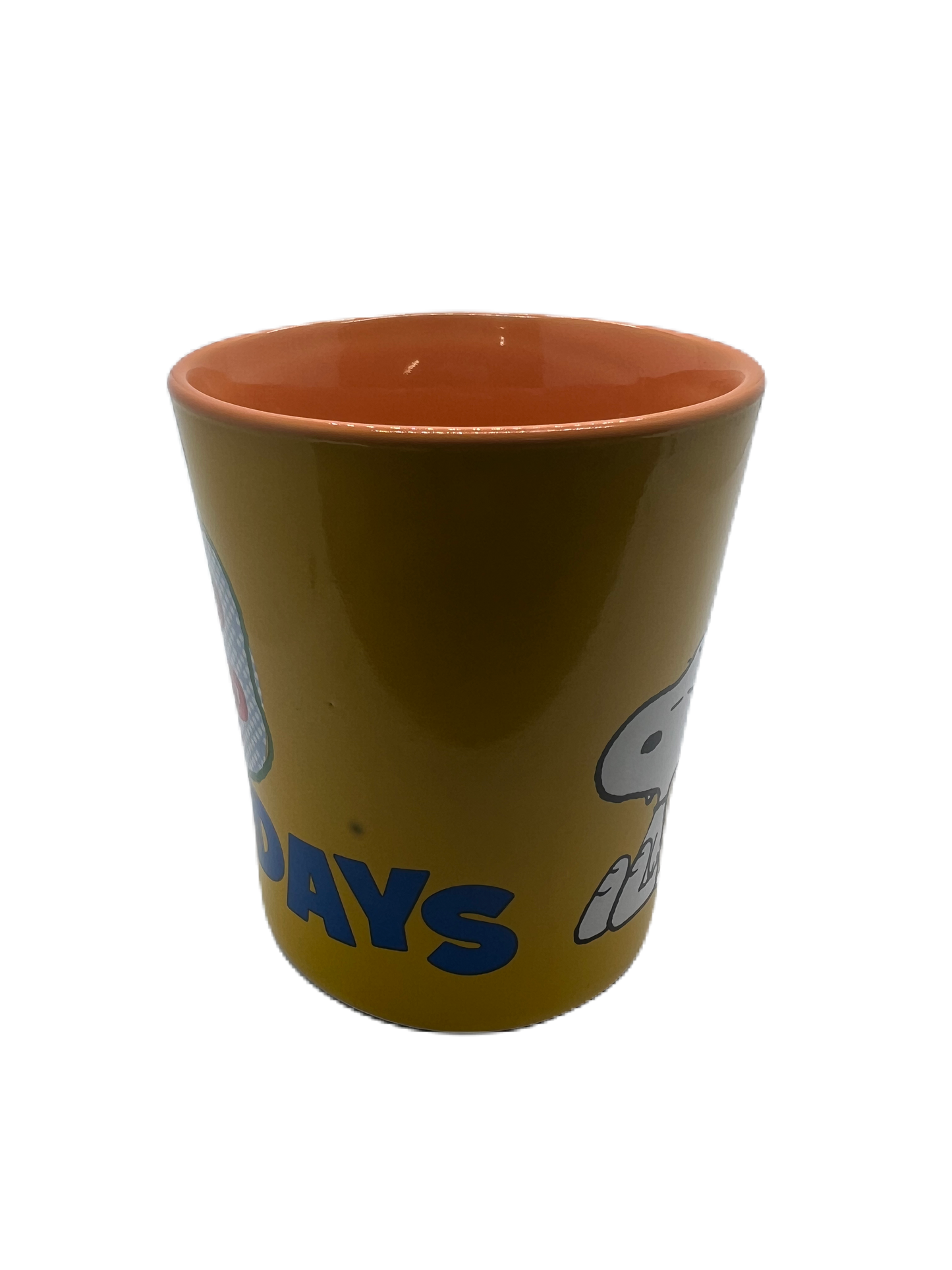 Peanuts Charlie Brown & Snoopy The World Is Filled With Mondays Coffee Mug